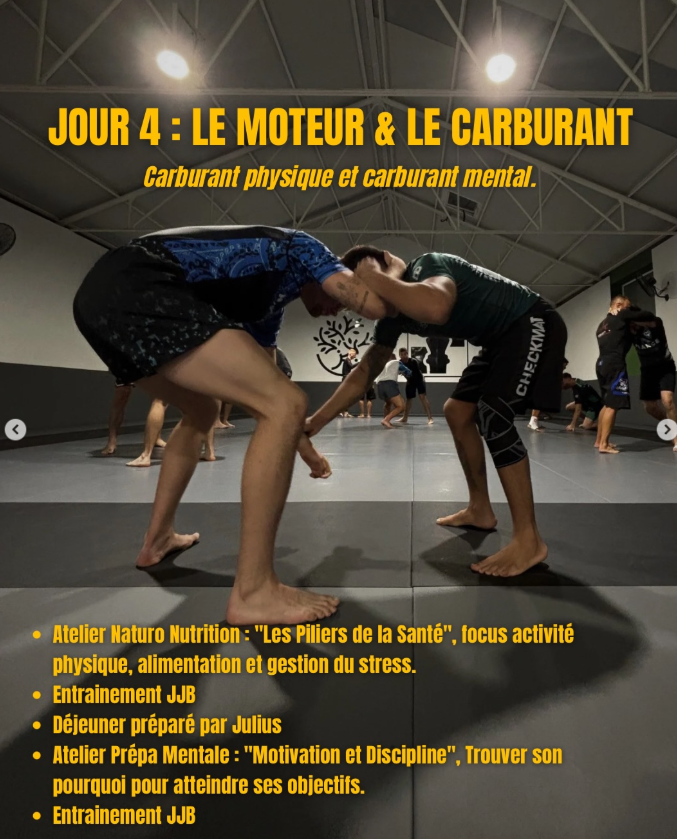STAGE Purple Belt Kitchen x Medit&rsquo;Action — ALICANTE 2026