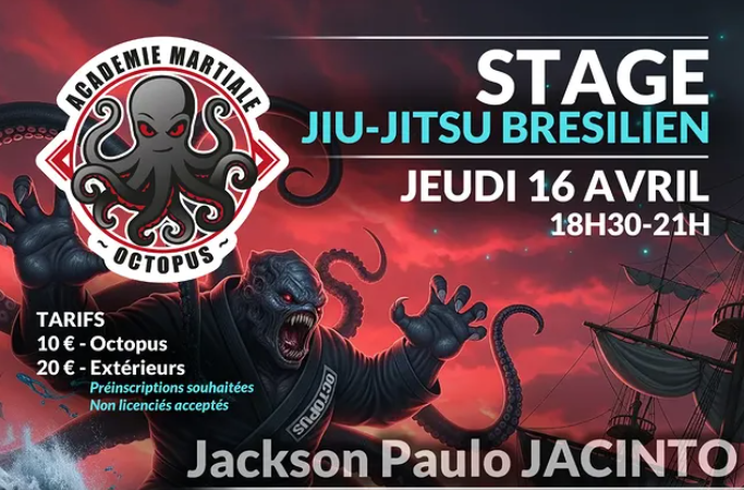 Séminaire Jackson Paulo JACINTO – Académie Octopus (25)