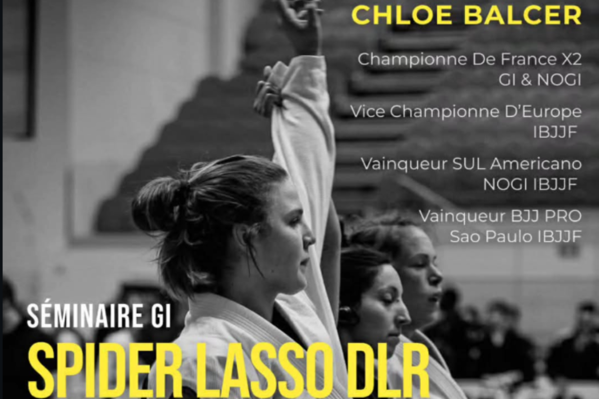 Séminaire Spider Lasso DLR avec Chloé BALCER – Nancy (54)