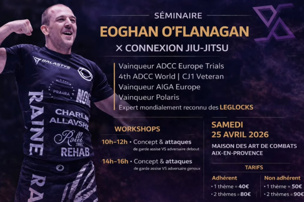 Séminaire Eoghan O’FLANAGAN – JJB Connexion- Aix-en-Provence (13)